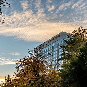 Intercontinental Geneve By Ihg